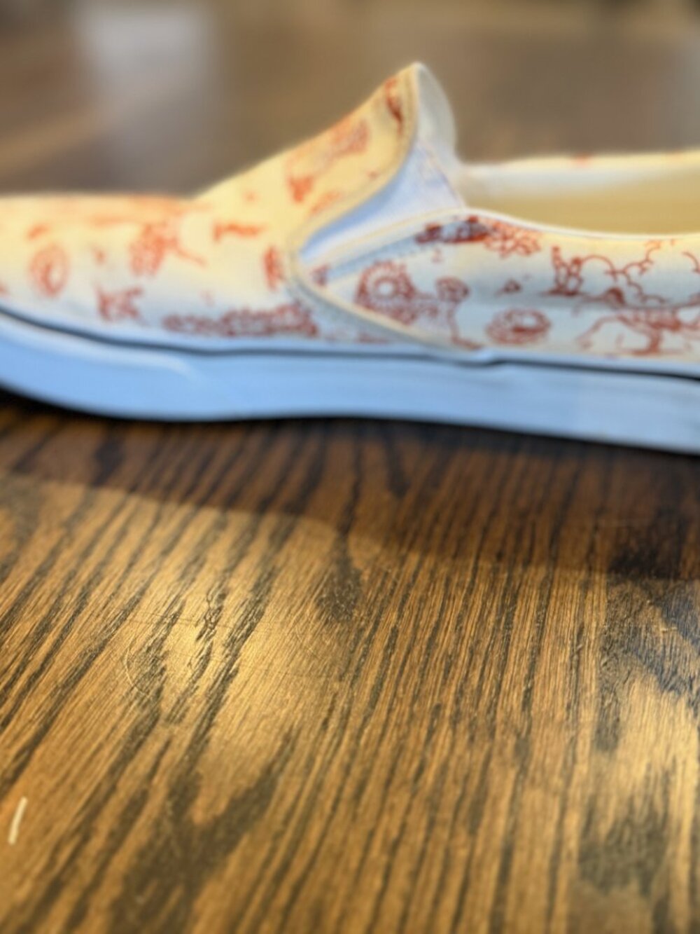 Vans Men’s 12 Classic Slip-On Desert Print Cactus Oatmeal Cream Color 751505 - Picture 8 of 9
